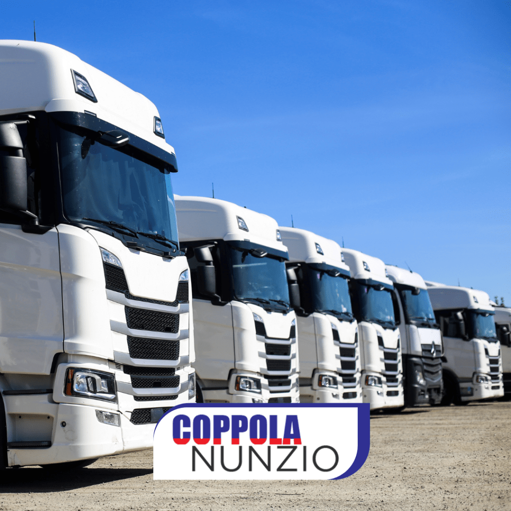 3Trasporti industriali e refrigerati da Catania per merci speciali e delicate Azienda trasporti conto terzi a Catania